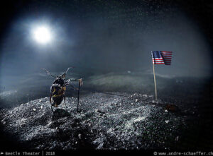 Neil Armstong, American dream, usa, moon, old man, bug, insect