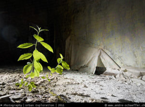 lost places, bando, verlassene Orte, beauty in decay, abandonotten places, LP, Urban Exploration, Urbex, UE