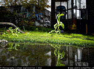 lost places, bando, verlassene Orte, beauty in decay, abandonotten places, LP, Urban Exploration, Urbex, UE