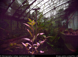 lost places, bando, verlassene Orte, beauty in decay, abandonotten places, LP, Urban Exploration, Urbex, UE