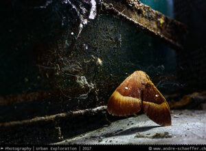 lost places, bando, verlassene Orte, beauty in decay, abandonotten places, LP, Urban Exploration, Urbex, UE