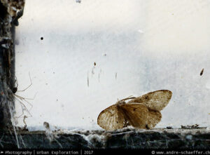 lost places, bando, verlassene Orte, beauty in decay, abandonotten places, LP, Urban Exploration, Urbex, UE