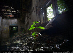 lost places, bando, verlassene Orte, beauty in decay, abandonotten places, LP, Urban Exploration, Urbex, UE